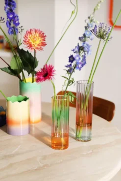 & Klevering &klevering Gradient Vaas Large -klevering Winkel x886x886 klevering fade vaas small2.jpg.pagespeed.ic . tFl4aaA0W 2