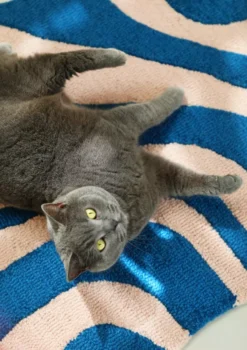 & Klevering &klevering Liquid Vloerkleed 85x110 Blauw -klevering Winkel x886x886 klevering liquid vloerkleed 85x1154.jpg.pagespeed.ic .EvsYIkVUOW 1