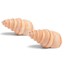 & Klevering &klevering Shell Peper- En Zoutmolen